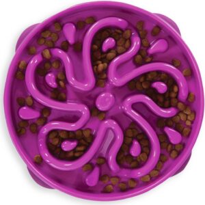 Hound Feeder Slo Bowl  Large 4 Cup Capacity, Slow Feeding, Medium To Large Dogs, Non Slip, Purple, Flower Pattern